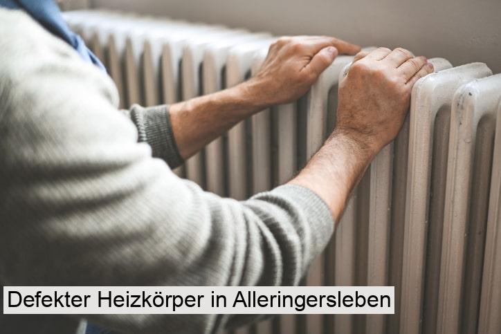 Defekter Heizkörper in Alleringersleben